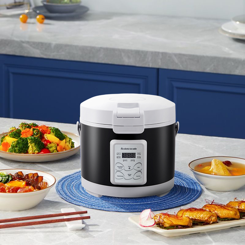 220V Mini Reiskocher Suppe Dam – Home Cooking Menu Bewertung und Preis