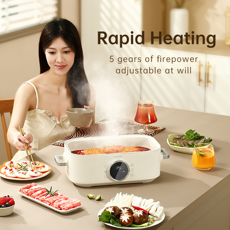 10L 3-in-1 elektrischer Dampfg – Home Cooking Restaurant Bewertung und Preis